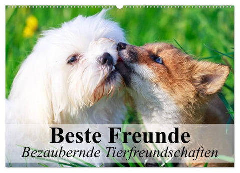Beste Freunde - Bezaubernde Tierfreundschaften (Wandkalender 2026 DIN A2 quer), CALVENDO Monatskalender