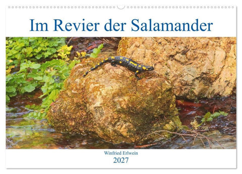 Im Revier der Salamander (Wandkalender 2027 DIN A2 quer), CALVENDO Monatskalender