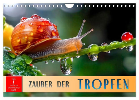 Zauber der Tropfen (Wandkalender 2027 DIN A4 quer), CALVENDO Monatskalender