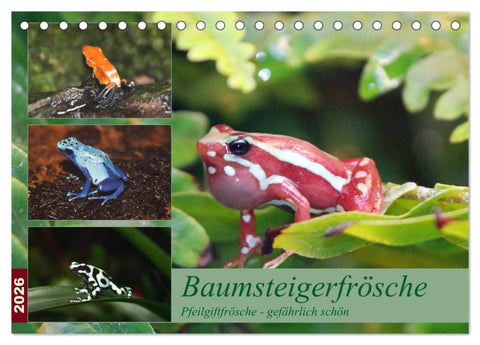 Baumsteigerfrösche. Pfeilgiftfrösche - gefährlich schön (Tischkalender 2026 DIN A5 quer), CALVENDO Monatskalender