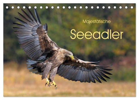 Majestätische Seeadler (Tischkalender 2027 DIN A5 quer), CALVENDO Monatskalender