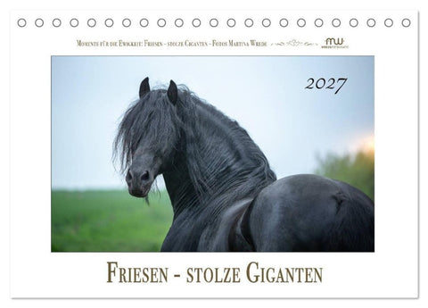 Friesen - stolze Giganten (Tischkalender 2027 DIN A5 quer), CALVENDO Monatskalender