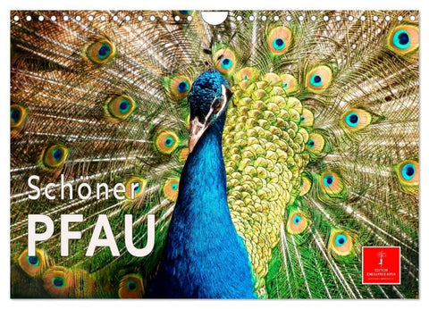 Schöner Pfau (Wandkalender 2027 DIN A4 quer), CALVENDO Monatskalender