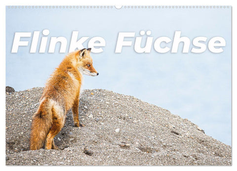Flinke Füchse (Wandkalender 2027 DIN A2 quer), CALVENDO Monatskalender