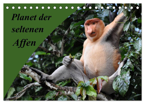 Planet der seltenen Affen (Tischkalender 2027 DIN A5 quer), CALVENDO Monatskalender