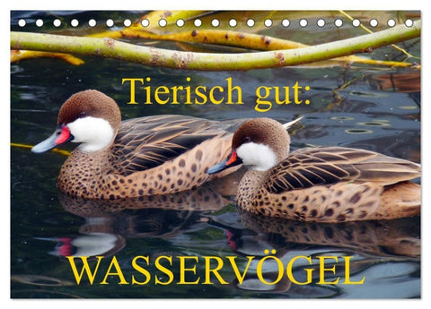 Tierisch gut: Wasservögel (Tischkalender 2027 DIN A5 quer), CALVENDO Monatskalender