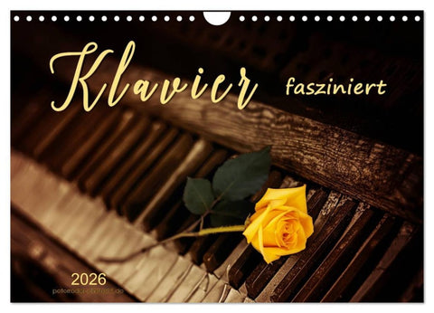 Klavier fasziniert (Wandkalender 2026 DIN A4 quer), CALVENDO Monatskalender