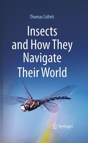 Insects and How They Navigate Their World