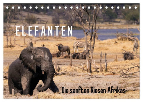 Elefanten - Die sanften Riesen Afrikas (Tischkalender 2026 DIN A5 quer), CALVENDO Monatskalender