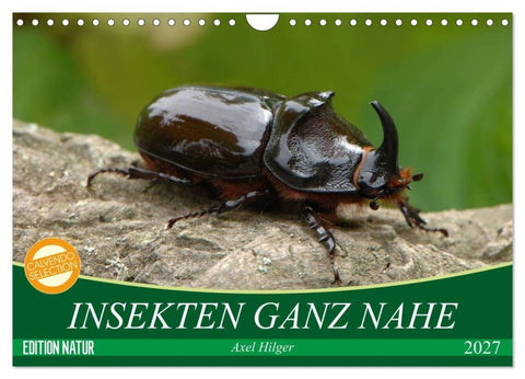 INSEKTEN GANZ NAHE (Wandkalender 2027 DIN A4 quer), CALVENDO Monatskalender