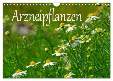 Arzneipflanzen (Wandkalender 2027 DIN A4 quer), CALVENDO Monatskalender