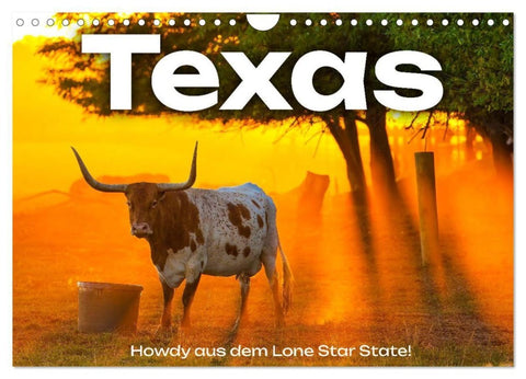 Texas - Howdy aus dem Lone Star State! (Wandkalender 2027 DIN A4 quer), CALVENDO Monatskalender
