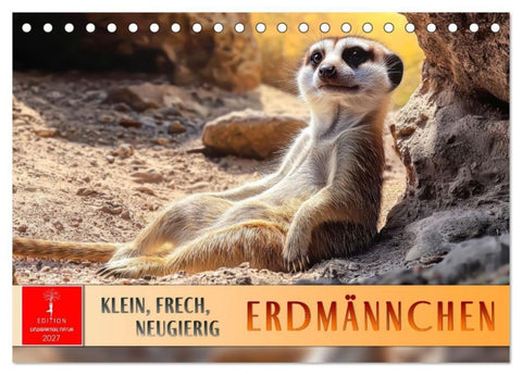 Erdmännchen - klein, frech, neugierig (Tischkalender 2027 DIN A5 quer), CALVENDO Monatskalender