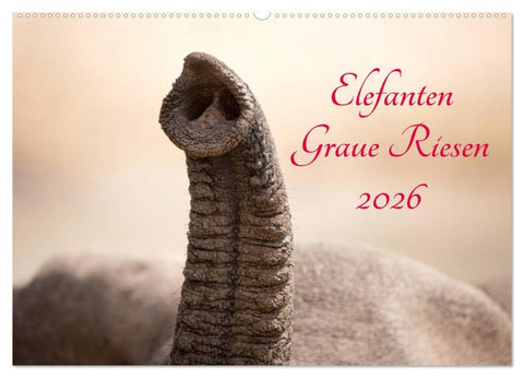 Elefanten - Graue Riesen (Wandkalender 2026 DIN A2 quer), CALVENDO Monatskalender