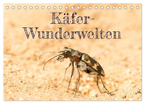 Käfer-Wunderwelten (Tischkalender 2027 DIN A5 quer), CALVENDO Monatskalender