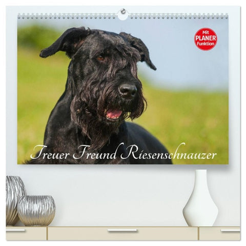 Treuer Freund Riesenschnauzer (hochwertiger Premium Wandkalender 2026 DIN A2 quer), Kunstdruck in Hochglanz