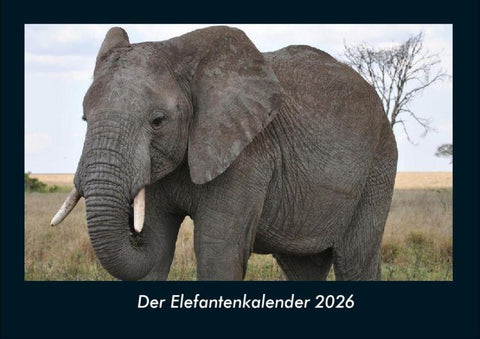 Der Elefantenkalender 2026 Fotokalender DIN A4