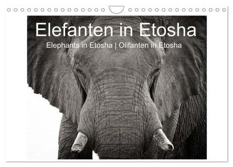 Elefanten in Etosha (Wandkalender 2027 DIN A4 quer), CALVENDO Monatskalender