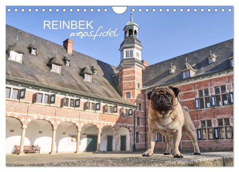 Reinbek mopsfidel (Wandkalender 2027 DIN A4 quer), CALVENDO Monatskalender