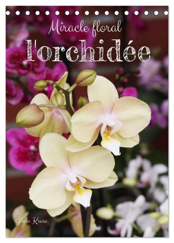 Miracle floral l'orchidée (Calendrier de bureau 2027 DIN A5 horizontal), CALVENDO calendrier mensuel