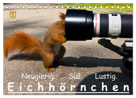 Eichhörnchen (Tischkalender 2027 DIN A5 quer), CALVENDO Monatskalender
