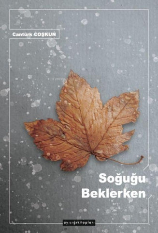Sogugu Beklerken