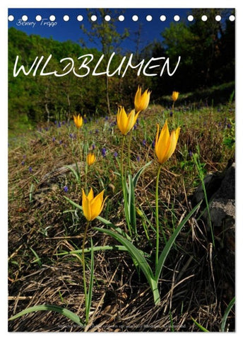 WILDBLUMEN (Tischkalender 2027 DIN A5 hoch), CALVENDO Monatskalender