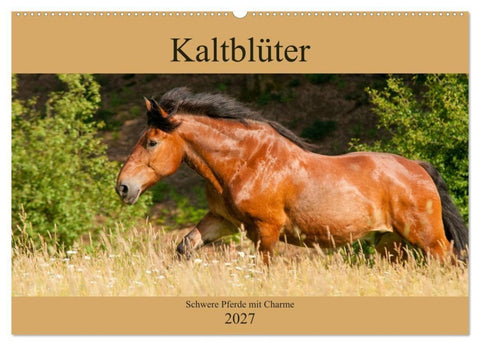 Kaltblüter - Schwere Pferde mit Charme (Wandkalender 2027 DIN A2 quer), CALVENDO Monatskalender