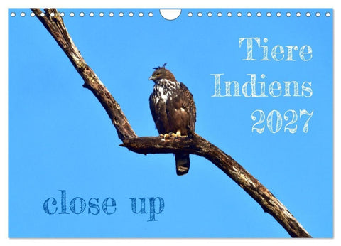 Tiere Indiens close up (Wandkalender 2027 DIN A4 quer), CALVENDO Monatskalender