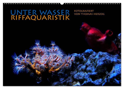 UNTER WASSER Riffaquaristik (Wandkalender 2026 DIN A2 quer), CALVENDO Monatskalender