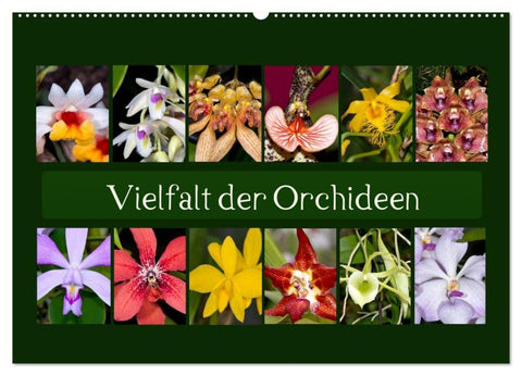 Vielfalt der Orchideen (Wandkalender 2026 DIN A2 quer), CALVENDO Monatskalender