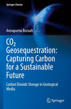 CO2 Geosequestration: Capturing Carbon for a Sustainable Future