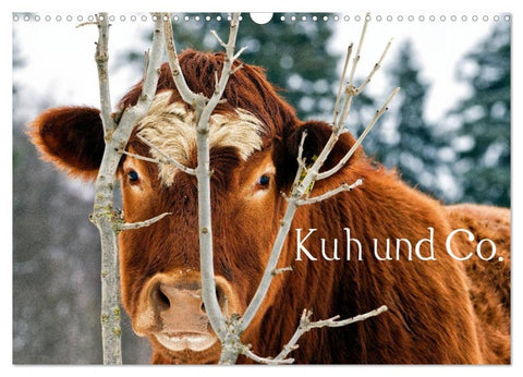 Kuh und Co. (Wandkalender 2027 DIN A3 quer), CALVENDO Monatskalender