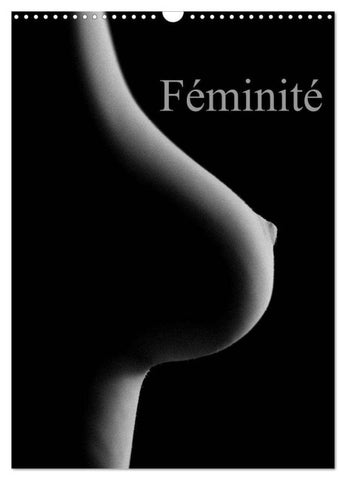 Féminité (Calendrier mural 2026 DIN A3 horizontal), CALVENDO calendrier mensuel