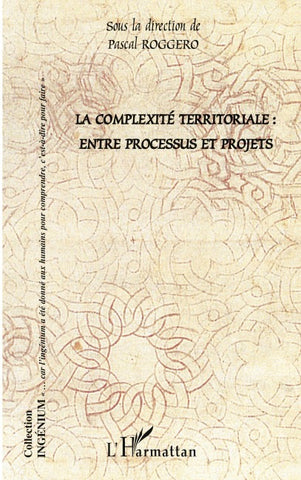 La complexité territoriale : entre processus et projets