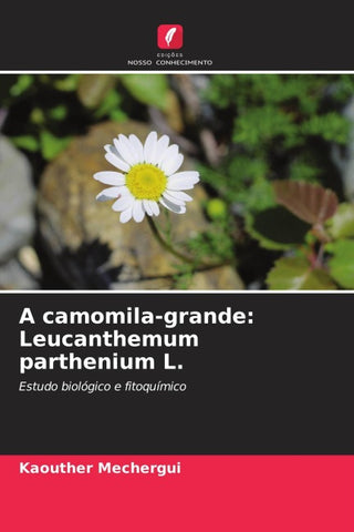 A camomila-grande: Leucanthemum parthenium L.