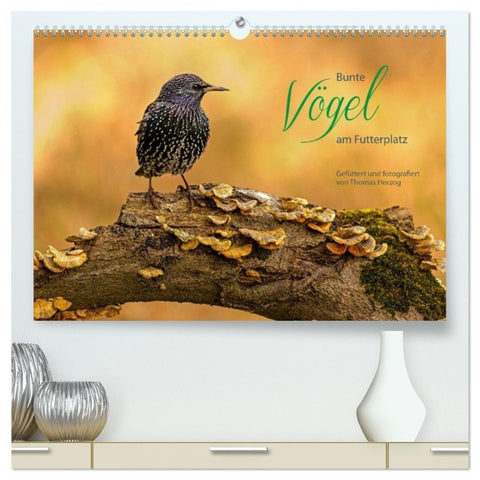 Bunte Vögel am Futterplatz (hochwertiger Premium Wandkalender 2027 DIN A2 quer), Kunstdruck in Hochglanz
