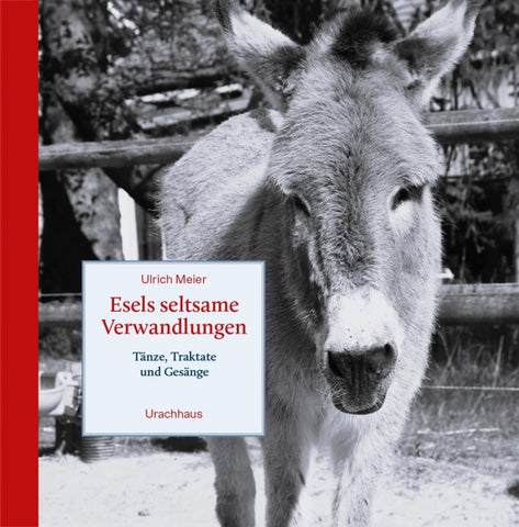 Esels seltsame Verwandlungen