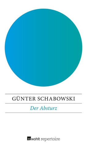 Der Absturz