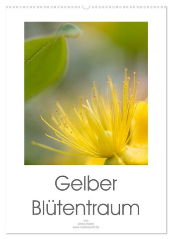 Gelber Blütentraum (Wandkalender 2027 DIN A2 hoch), CALVENDO Monatskalender