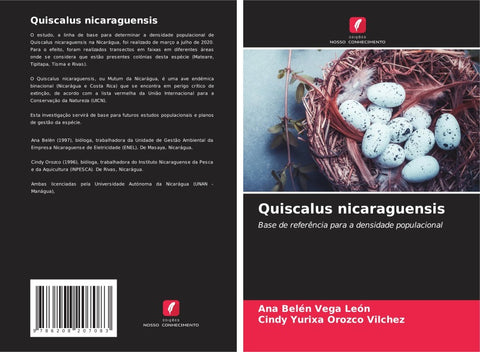 Quiscalus nicaraguensis