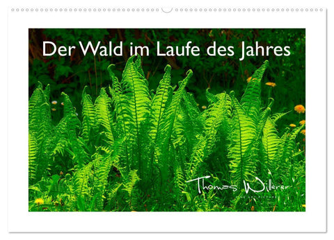 Der Wald im Laufe des Jahres (Wandkalender 2027 DIN A2 quer), CALVENDO Monatskalender