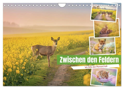 Zwischen den Feldern (Wandkalender 2027 DIN A4 quer), CALVENDO Monatskalender