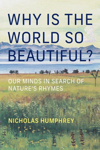 Why Is the World So Beautiful?