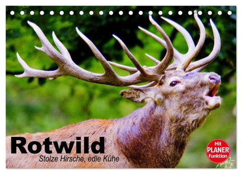 Rotwild. Edle Hirsche, stolze Kühe (Tischkalender 2026 DIN A5 quer), CALVENDO Monatskalender