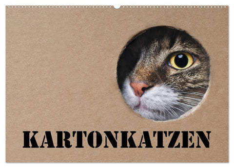 Karton Katzen (Wandkalender 2027 DIN A2 quer), CALVENDO Monatskalender