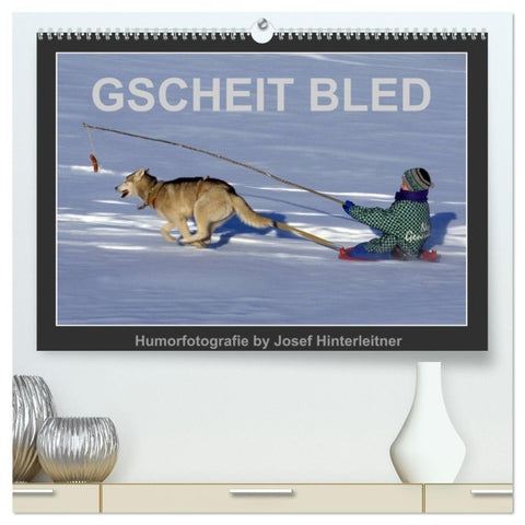 GSCHEIT BLED - Humorfotografie (hochwertiger Premium Wandkalender 2026 DIN A2 quer), Kunstdruck in Hochglanz
