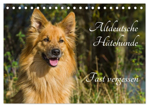 Altdeutsche Hütehunde - Fast vergessen (Tischkalender 2027 DIN A5 quer), CALVENDO Monatskalender
