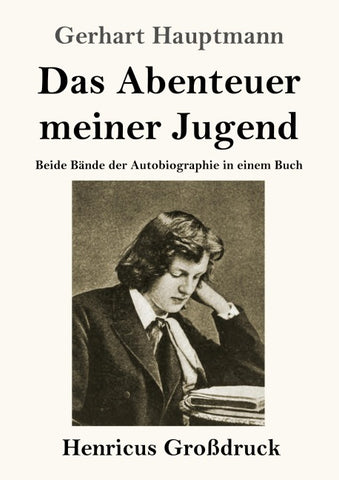 Das Abenteuer meiner Jugend (Großdruck)