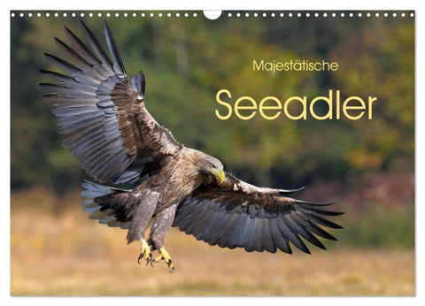 Majestätische Seeadler (Wandkalender 2027 DIN A3 quer), CALVENDO Monatskalender
